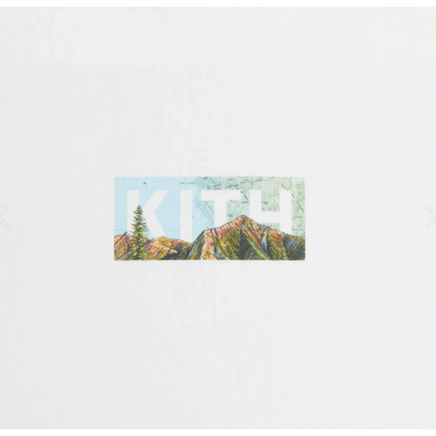 Kith x Columbia Big Sur Classic Logo Tee White - Image 4