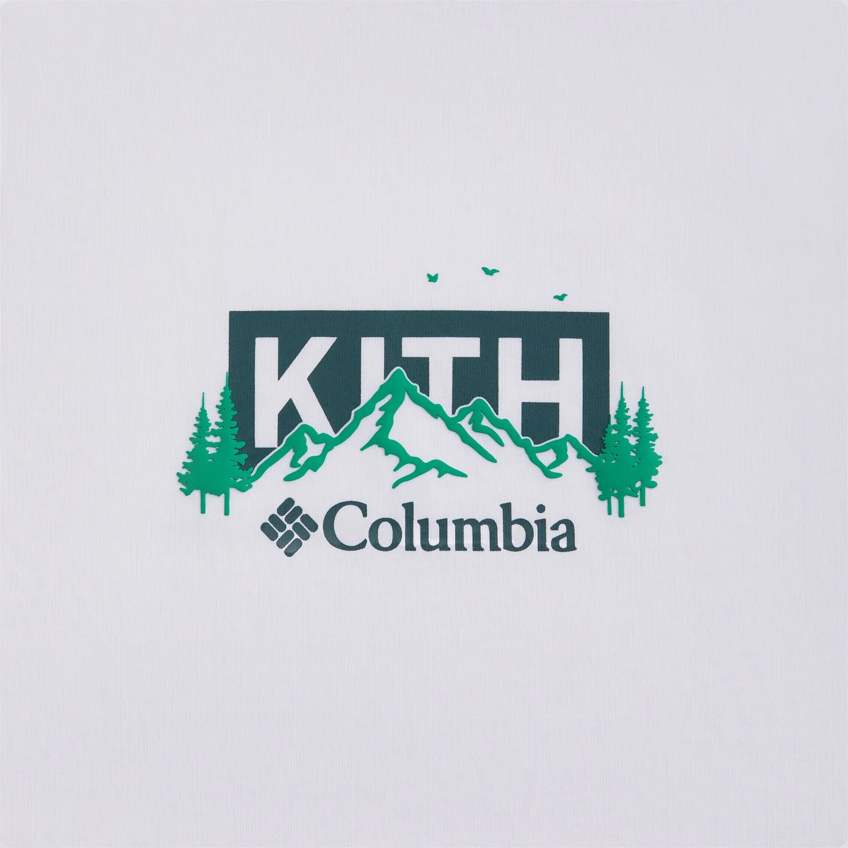 Kith x Columbia Landscape Classic Logo Tee Stadium - Image 2