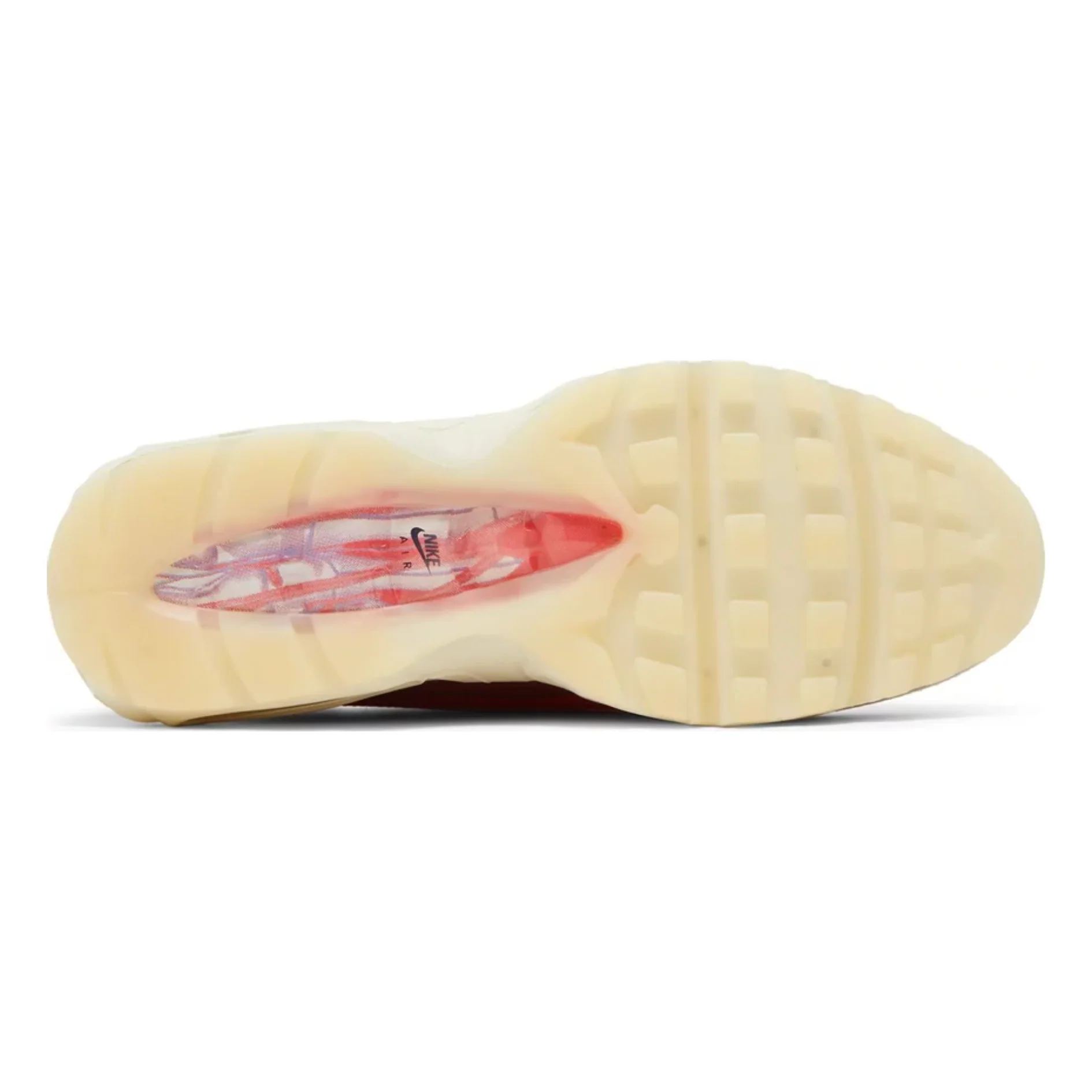 Nike Air Max 95 Anatomy of Air GID - Image 3