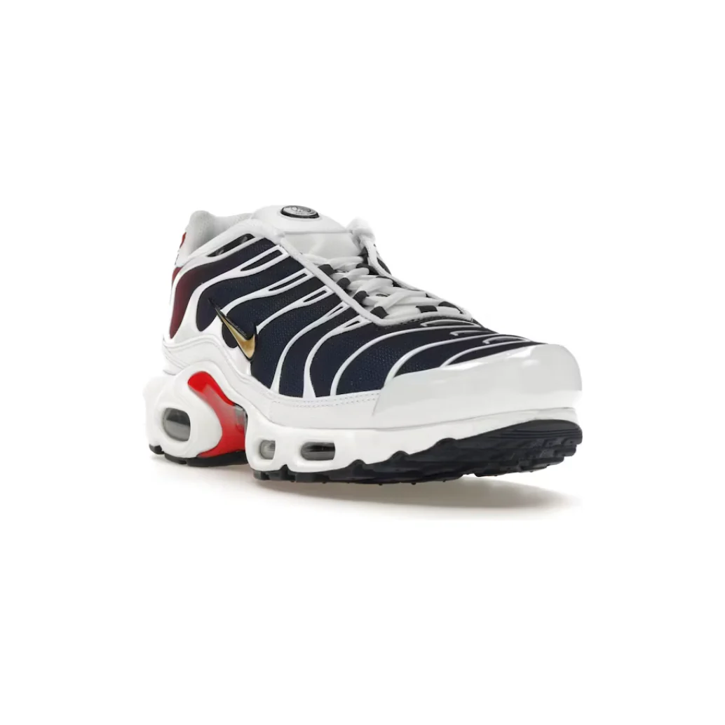 Nike Air Max Plus TN PSG - Image 4